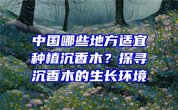 中国哪些地方适宜种植沉香木？探寻沉香木的生长环境