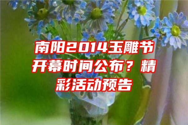 南阳2014玉雕节开幕时间公布？精彩活动预告