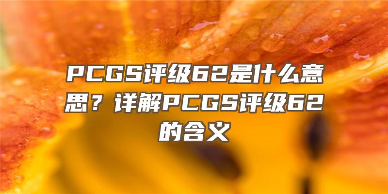 PCGS评级62是什么意思？详解PCGS评级62的含义