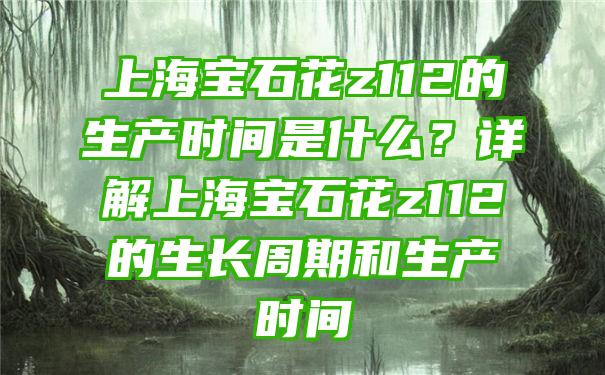 上海宝石花z112的生产时间是什么？详解上海宝石花z112的生长周期和生产时间