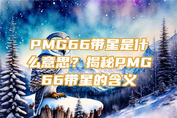 PMG66带星是什么意思？揭秘PMG66带星的含义